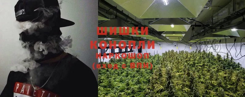 как найти закладки  ОМГ ОМГ ТОР  Бошки Шишки OG Kush  Малая Вишера 